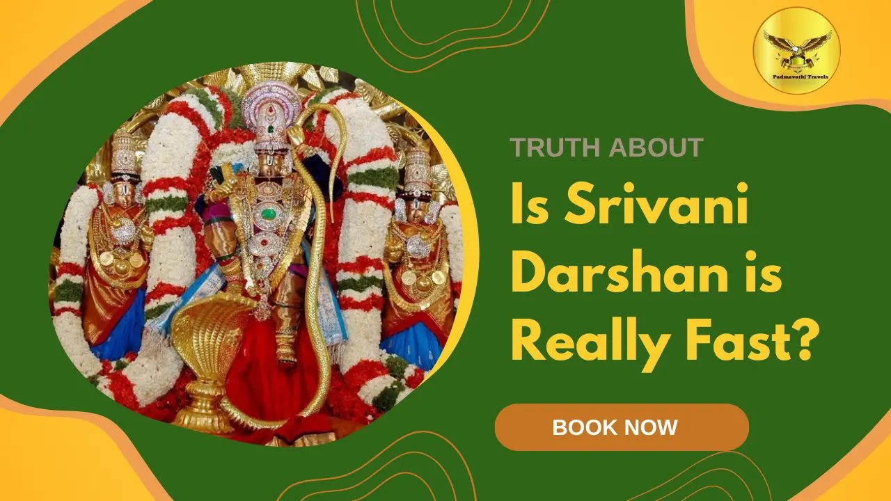 srivani darshan in tirumala