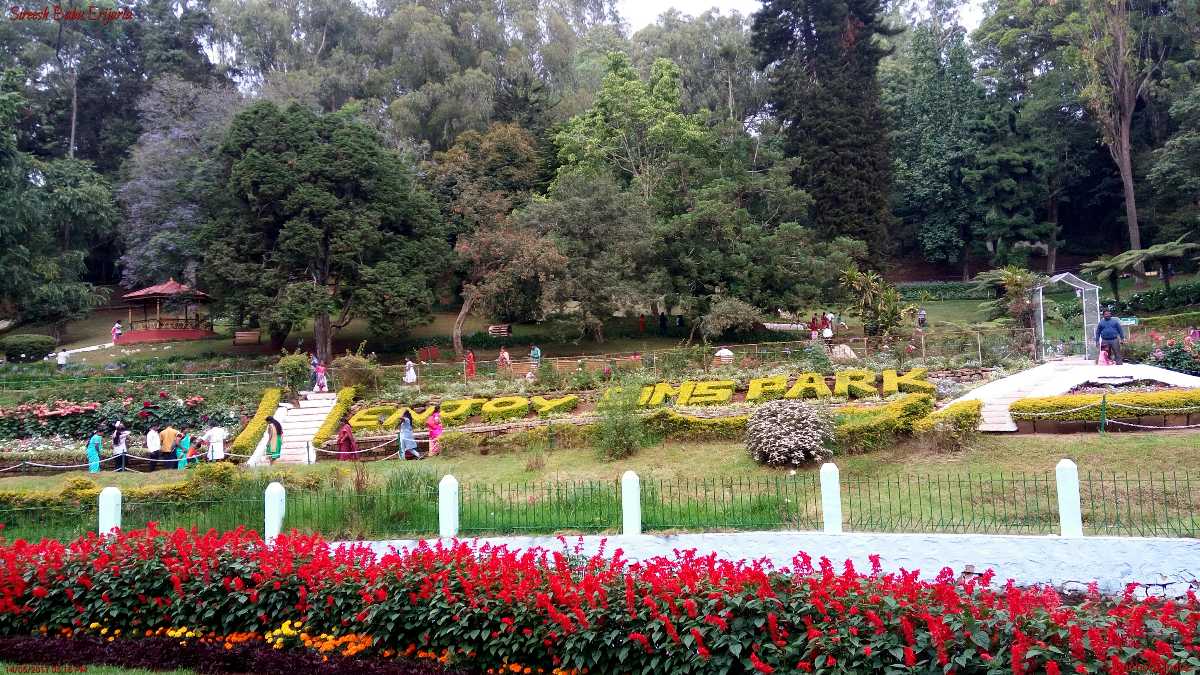 Sim’s Park