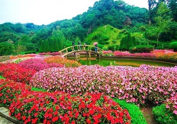 Government Rose Garden