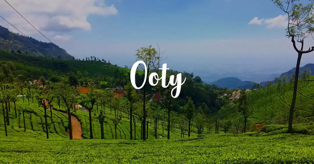 Chennai to Ooty Package