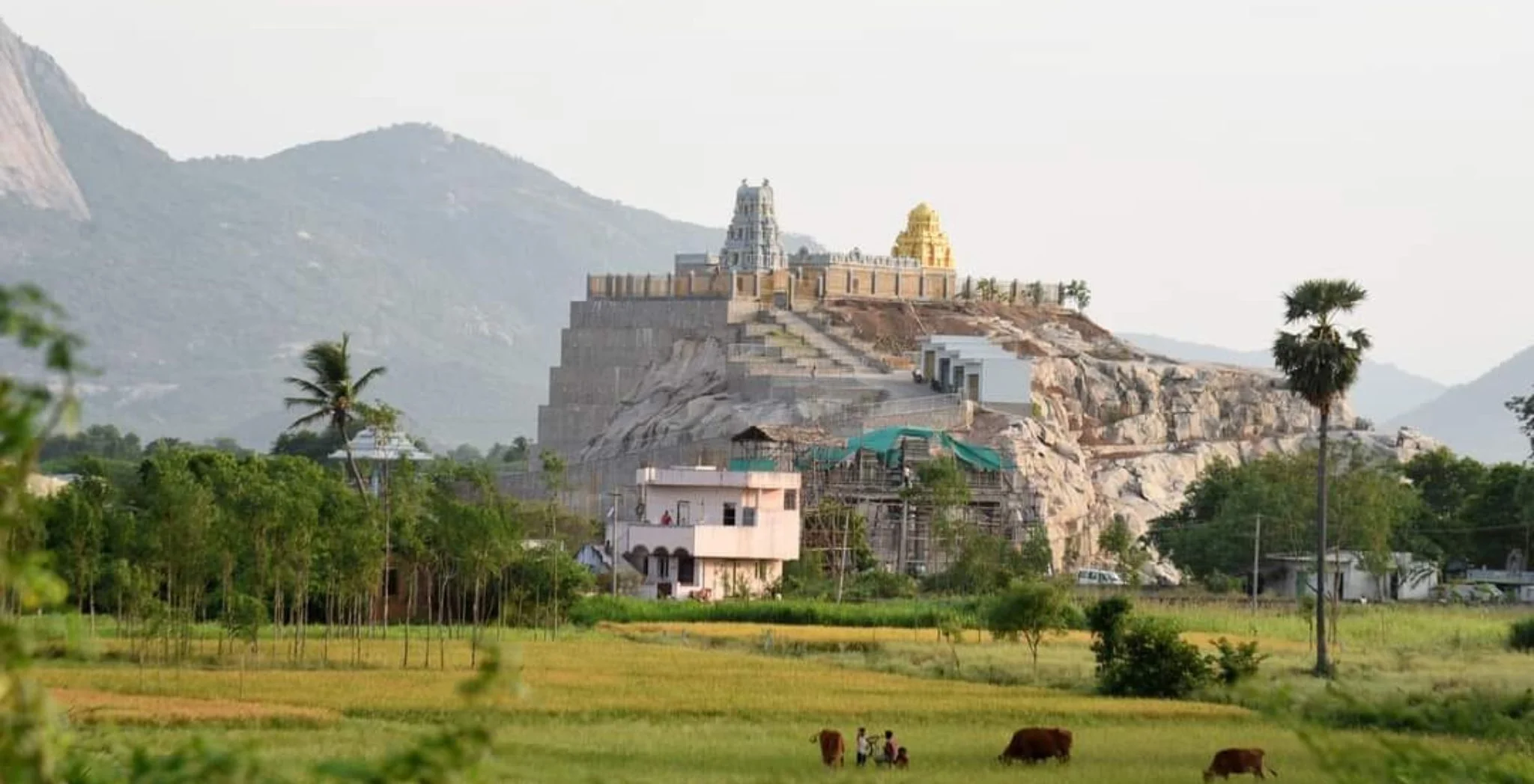 Three Days Chennai To Tirupati Tour Packages