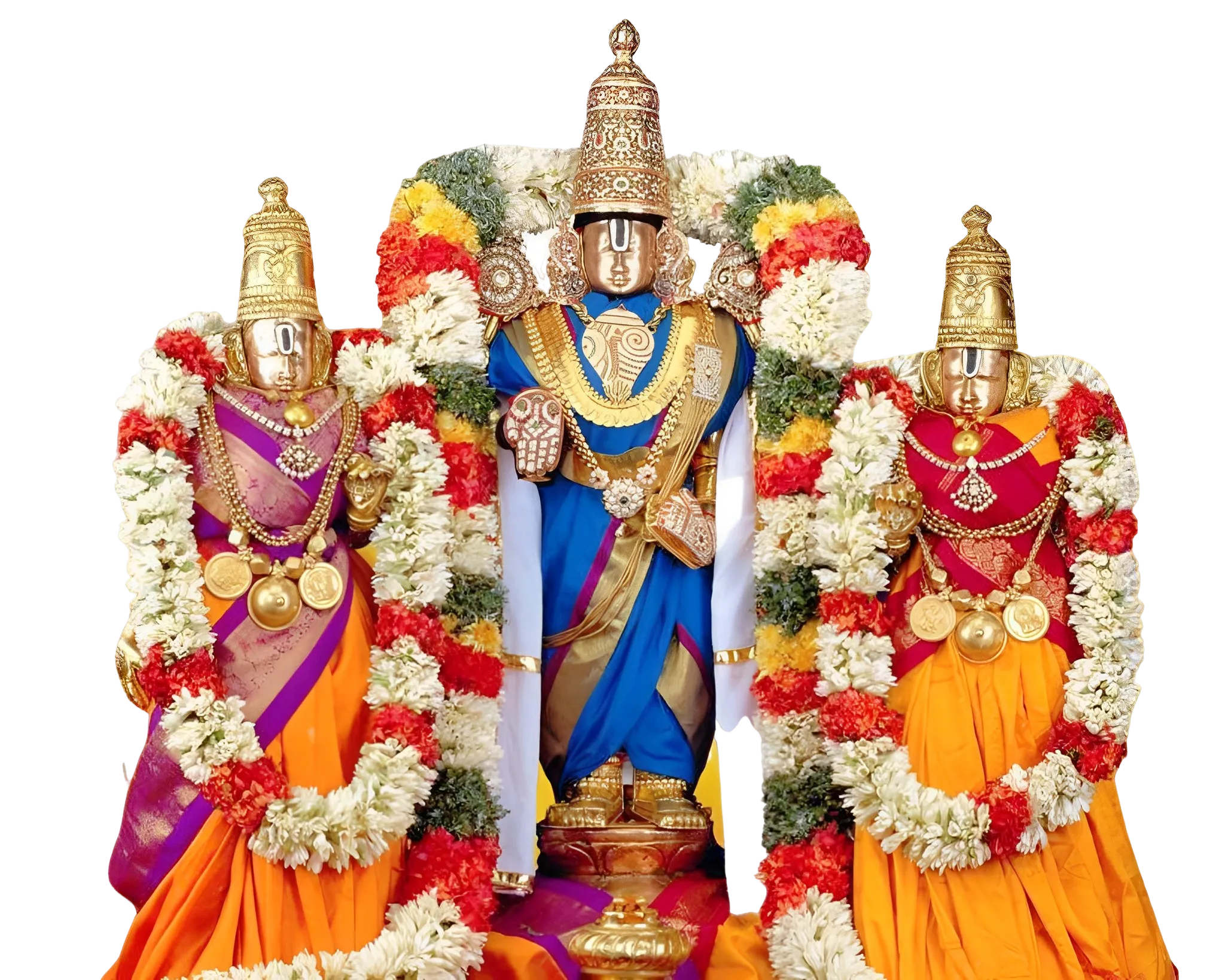 hero image