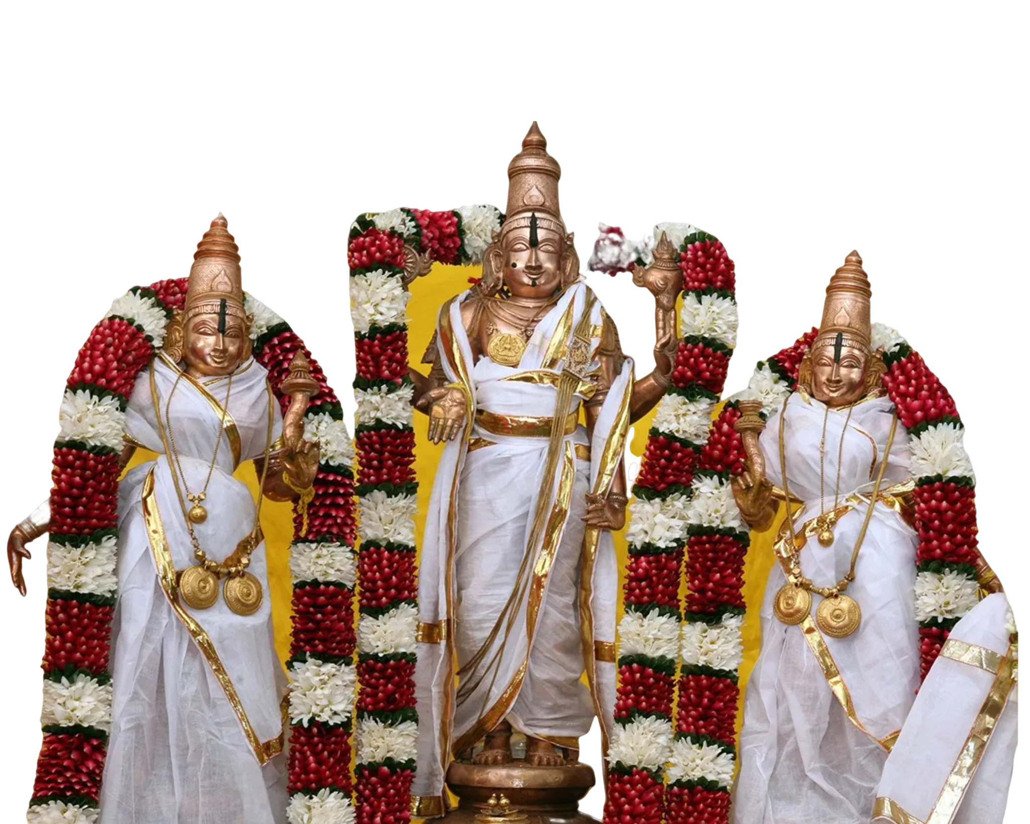 hero image