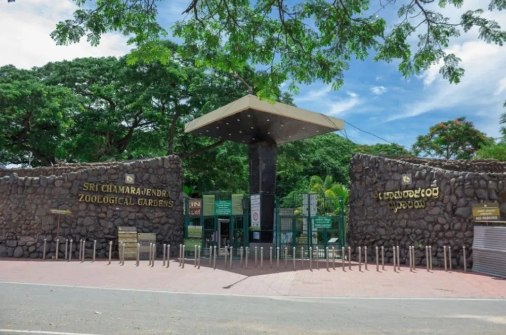 chennai to mysore tour package