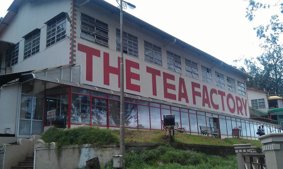 Tea Factory & Museum